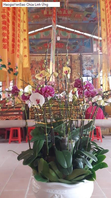 Danh Sách 9 Chùa, địa chỉ tâm linh tại Huyện Gia Bình Tỉnh Bắc Ninh