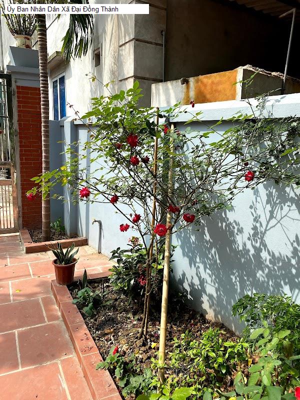 Ủy Ban Nhân Dân Xã Đại Đồng Thành