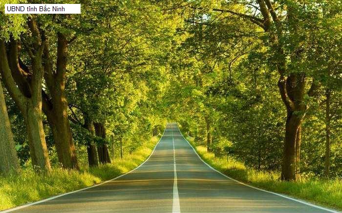 UBND tỉnh Bắc Ninh